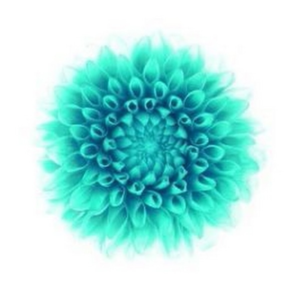 Meet your Posher, Linda - Picture 1 of 1